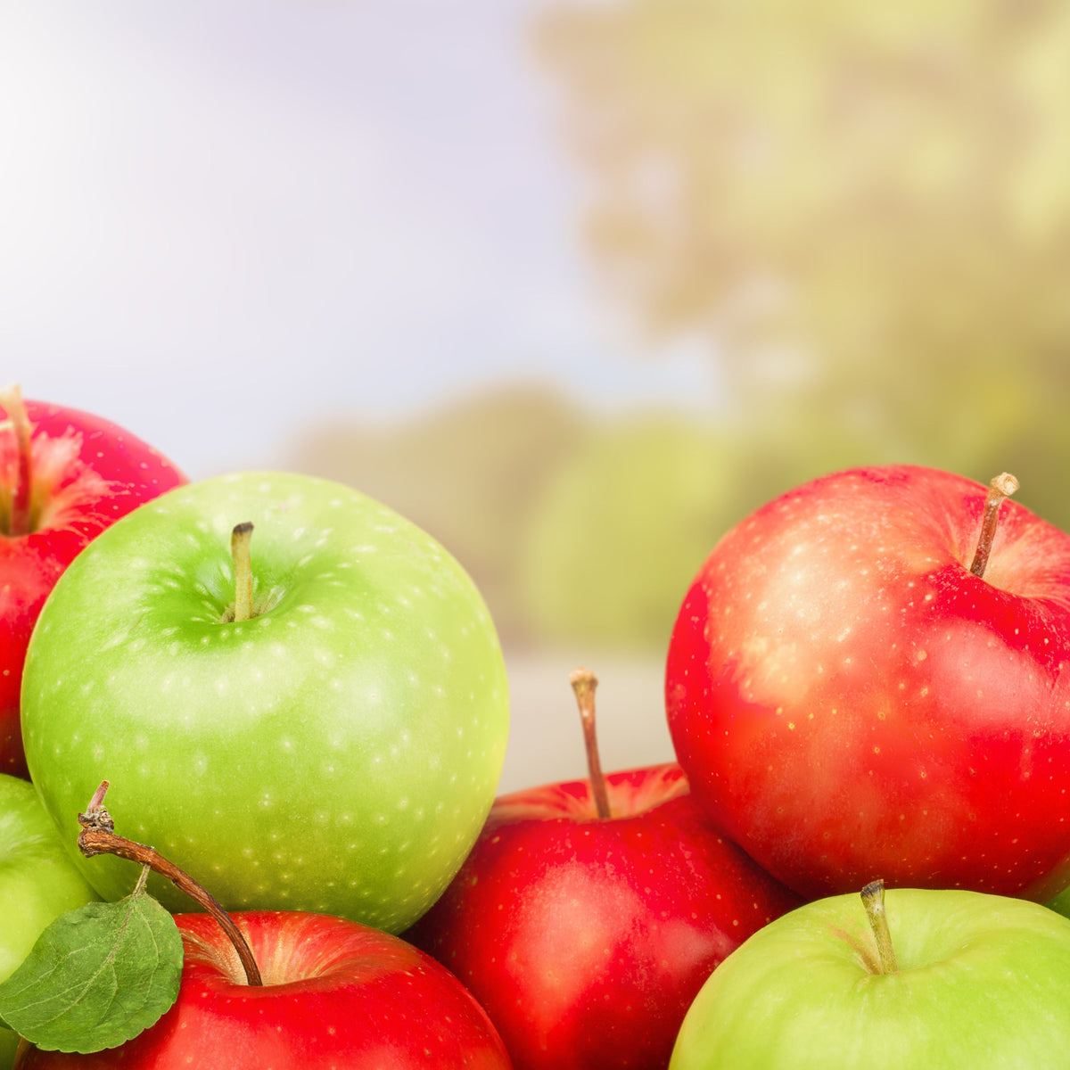 Fruit & Vegetable Processing Equipment Australia | Tanium – Tanium ...