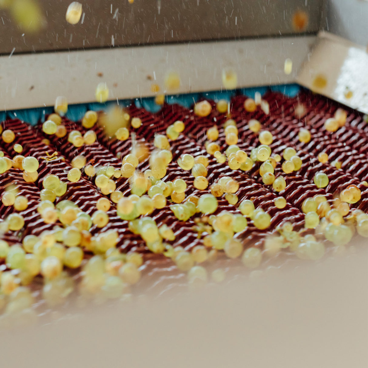 Roller sorter RSS
